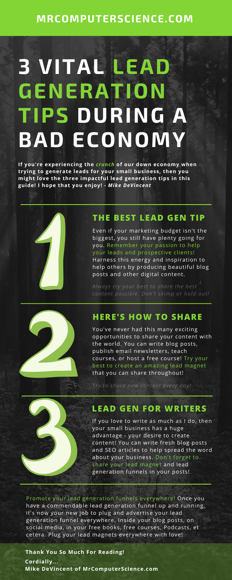 MrComputerScience.com Infographic - 3 Vital Lead Generation Tips During A Down Economy